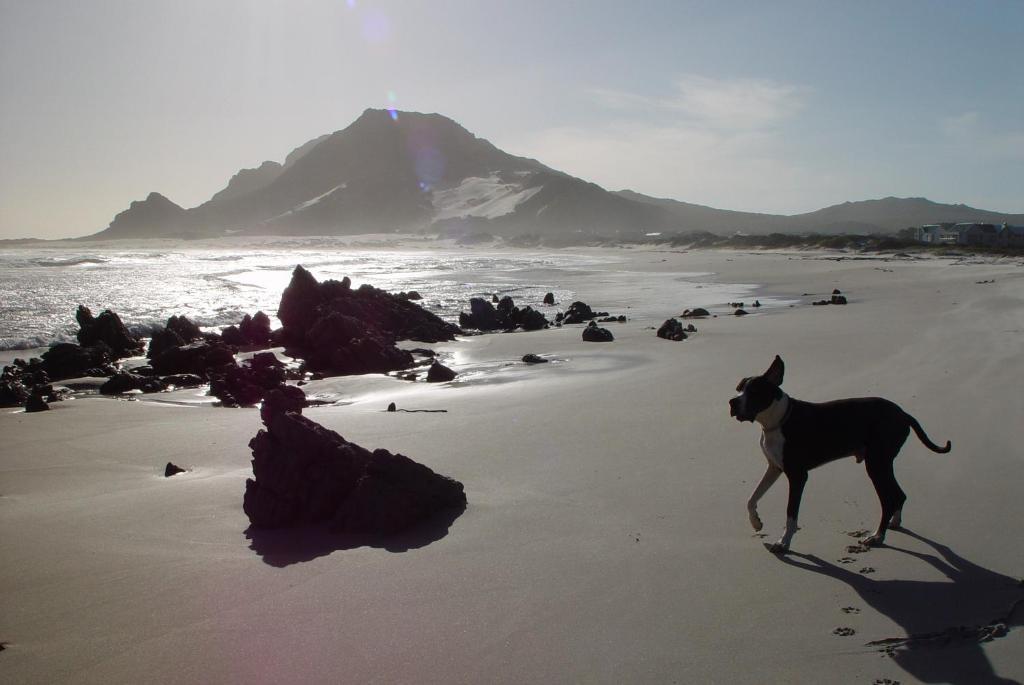 Jack'S Seaview Inn Bettys Bay Bagian luar foto