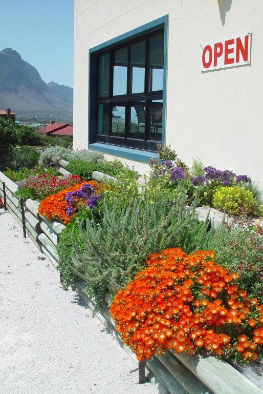 Jack'S Seaview Inn Bettys Bay Bagian luar foto